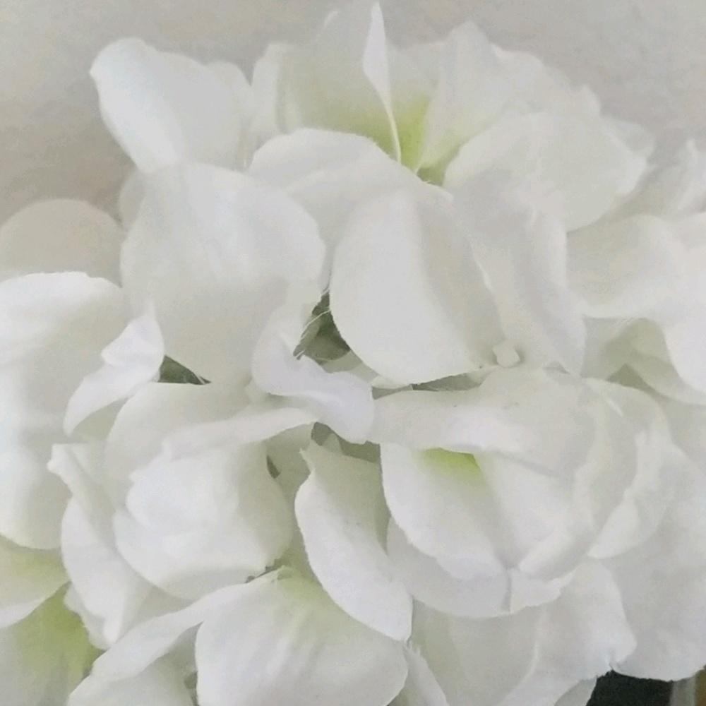 Meet your Posher, Zeee